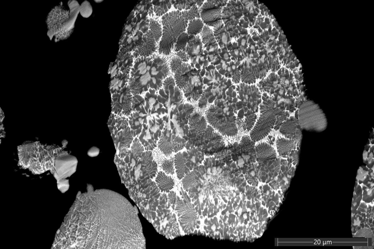 SEM image