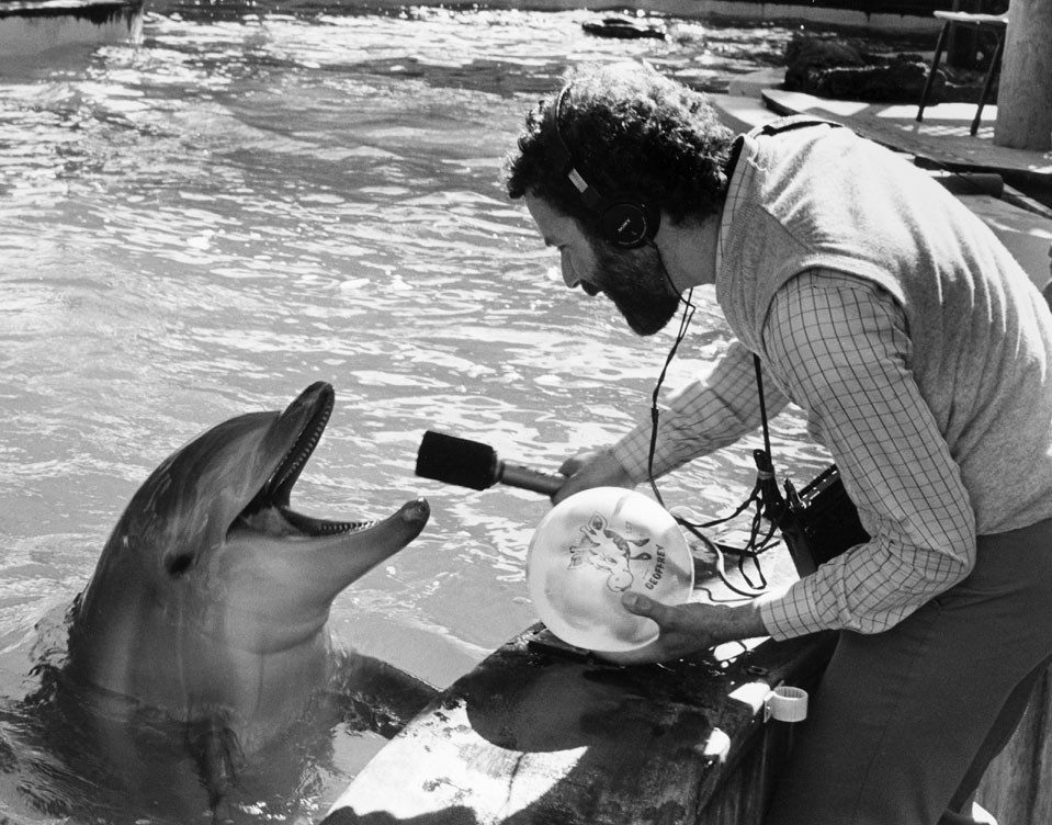 Jim Metzner records a Dolphin