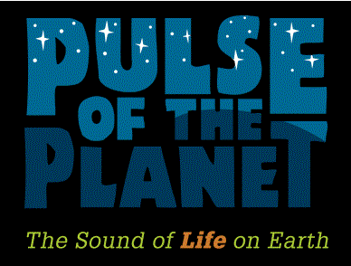 Pulse of the Planet logo