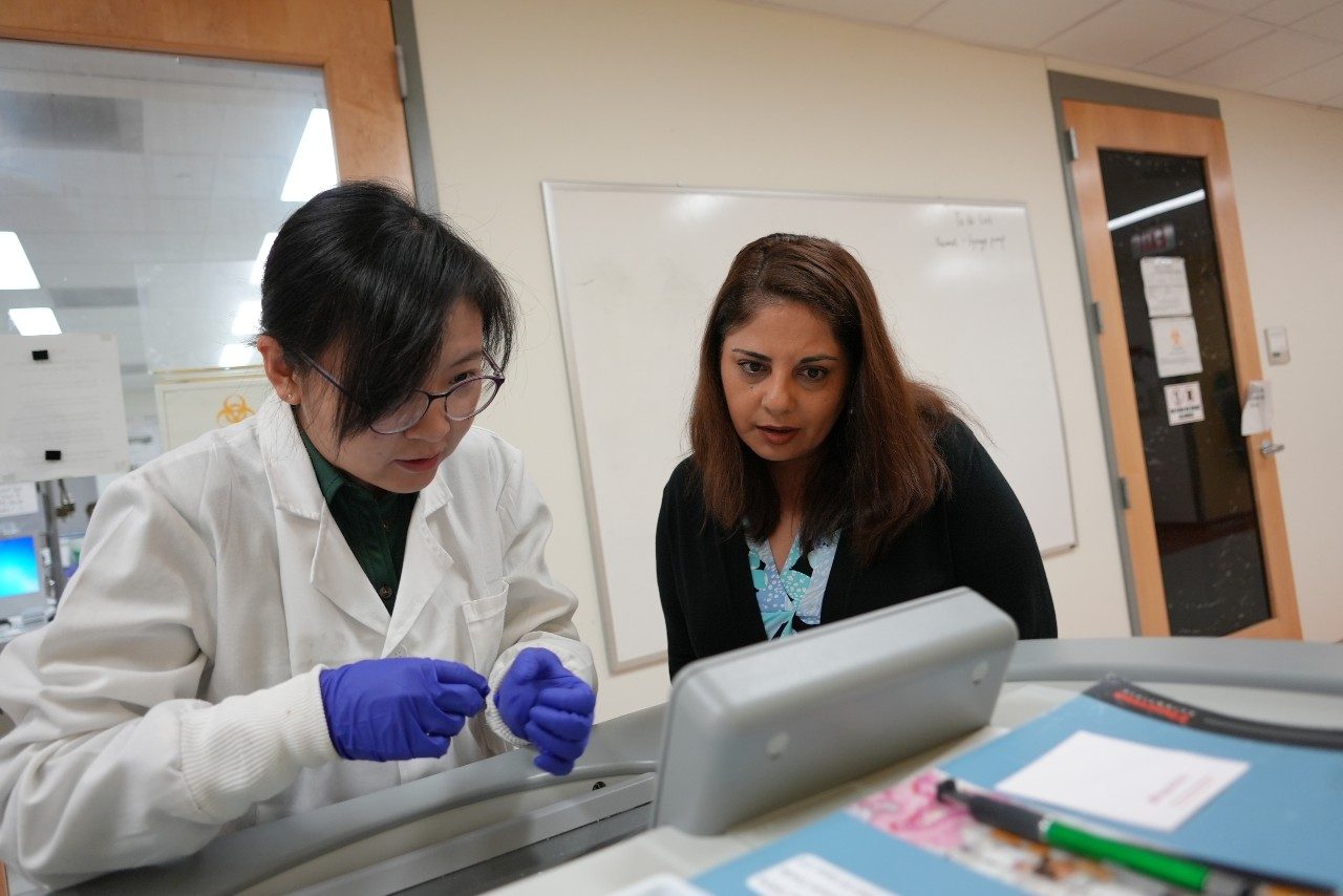 Bahareh Behkam and graduate student work together in lab.