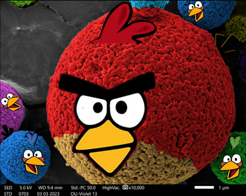 Micro-Nano Angry Birds
