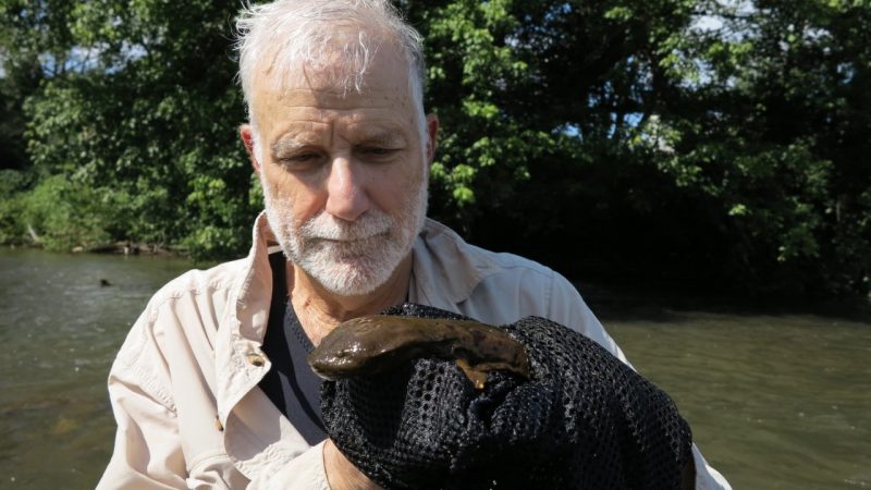 Jim Metzner with hellbender