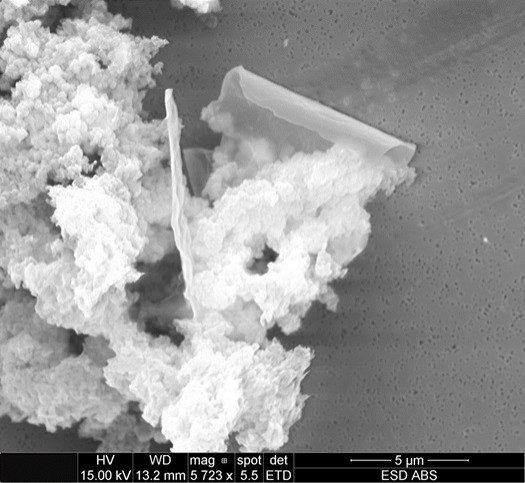 Particles emitted from a 3D printer including structures similar to graphene or carbon nanotubes. These are from a filament containing CNTs as an additive.