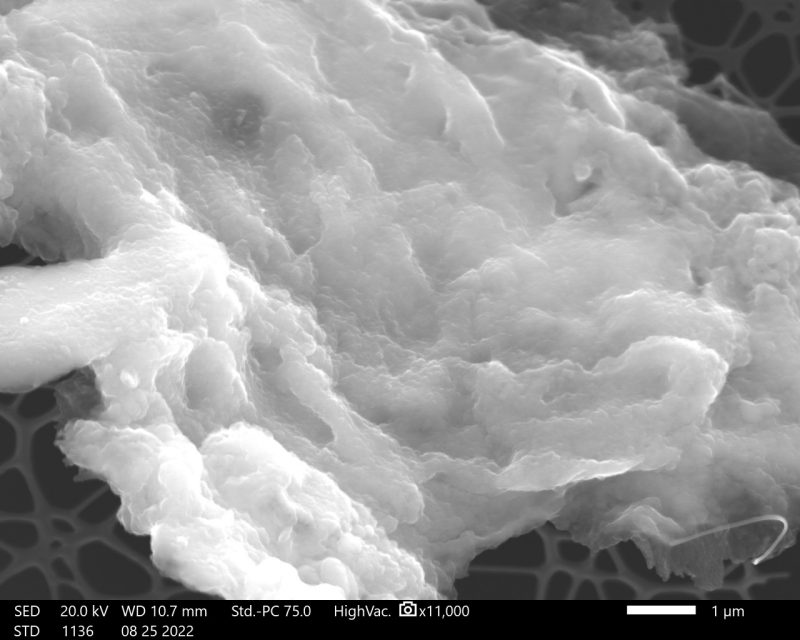 SEM image with lots of natural  complexities