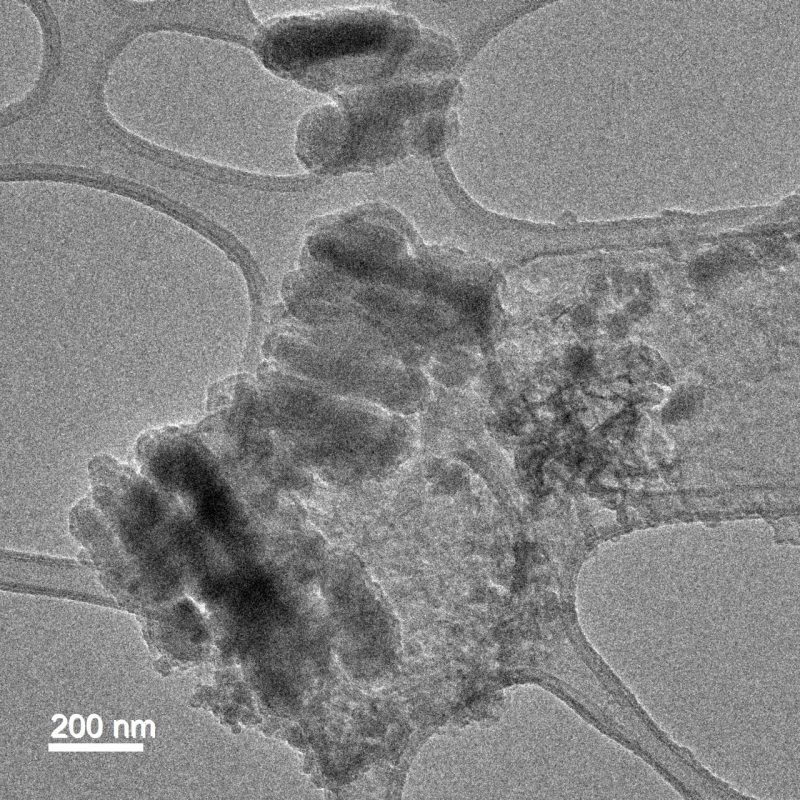 TEM image of iron oxide nanoparticles